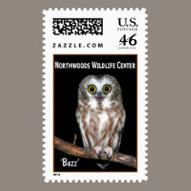 'Buzz' Saw-whet Owl stamps