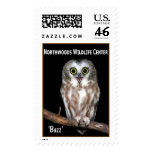 'Buzz' Saw-whet Owl Postage Stamps