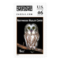'Buzz' Saw-whet Owl postage