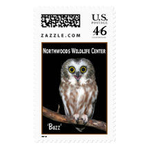 'Buzz' Saw-whet Owl Postage Stamps