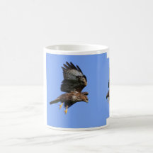 Buzzard  3 coffee mugs
