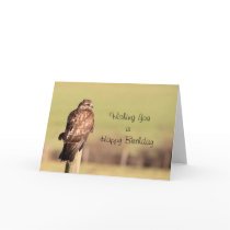 Buzzard Card