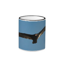 Buzzard in Flight 1 Mug