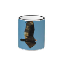 Buzzard in Flight 2 Mugs