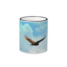 Buzzard in Flight 3 Mugs
