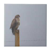 Buzzard Tile