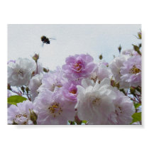 Buzzing Around posters