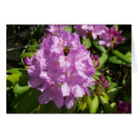Buzzing Over a Lavender Rhododendron Card Buzzing Over a Lavender Rhododendron Card