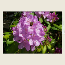 Buzzing Over a Lavender Rhododendron cards