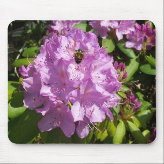 Buzzing Over a Lavender Rhododendron mousepad