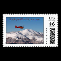 BuzzingSierraBlanca2 - Air Safari New Mexico postage
