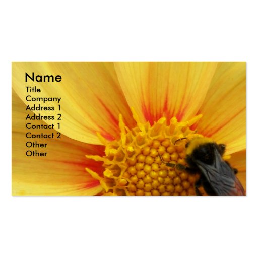 Buzzy Bee Business Card (front side)