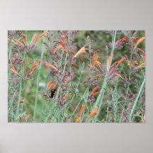 Buzzzzzz! Poster