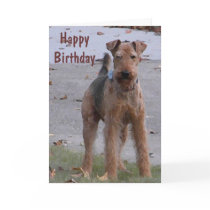 BV- Cute Airedale Birthday Card