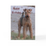 BV- Cute Airedale Birthday Card