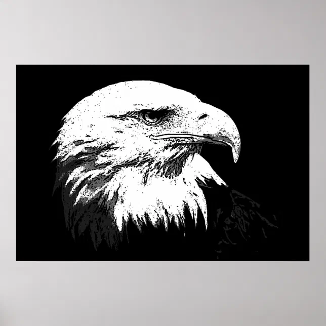 BW American Bald Eagle Poster Print Eagles Posters Zazzle