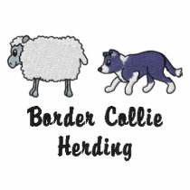 BW Border Collie Herding