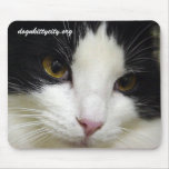 BW - dognkittcity.org Mousepad