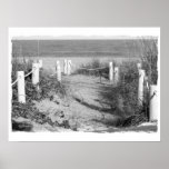 BW Florida beach roped off dune walk photo Poster