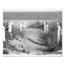 BW Fort Pierce, Florida beach walk dune roped off Photo Art