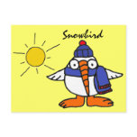 BW- Funny Snowbird Postcard