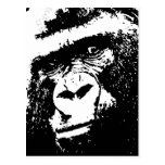 BW Gorilla Face Postcards