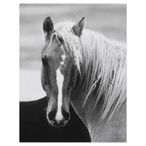 BW Horse Portrait flyers by made_in_atlantis BW Horse Portrait flyers