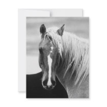 BW Horse Portrait invitations by made_in_atlantis BW Horse Portrait invitations