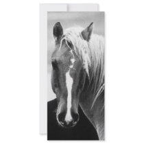 BW Horse Portrait rack cards by made_in_atlantis BW Horse Portrait rack cards