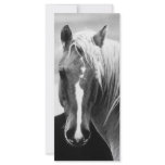 BW Horse Portrait Rack Card Template