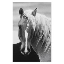 BW Horse Portrait stationery by made_in_atlantis BW Horse Portrait stationery