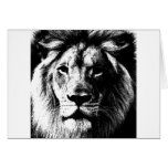 BW Lion Face cards