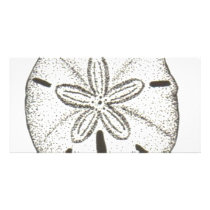 bw_sanddollar05 personalized photo card