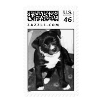 bw st4 postage