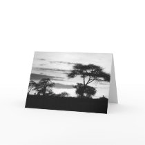BW Sunset Card