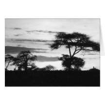 BW Sunset Card