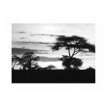 BW Sunset posters