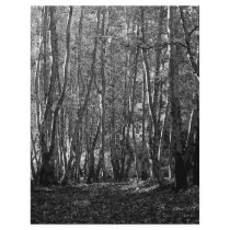 BW Trees flyers by made_in_atlantis BW Trees flyers