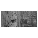 BW Winter Weeping Birch Wedding Program Rack Card Template