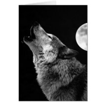 BW Wolf Howling at Moon Card