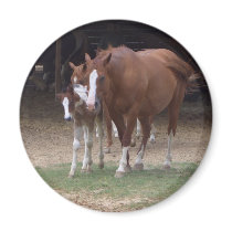 BX- Fun Horses Magnet
