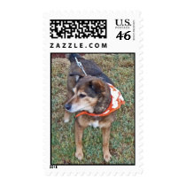 BY- Cute Pup Postage Stamp