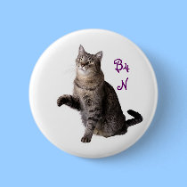 By for Now Cat   B4N buttons
