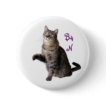 By for Now Cat   B4N buttons