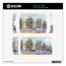By meadow by Alfred Sisley Skin For Sidekick 2008