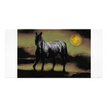 By Moon Light photo cards by laureenr By Moon Light photo cards