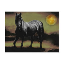 By Moon Light postcards
