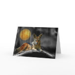By Moonlight cards