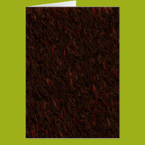 By The Fire Light Card cards
