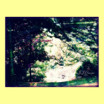 "By the lake".JsJ posters